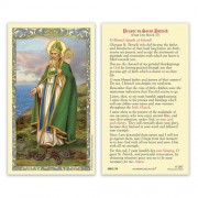 25-pk Saint Patrick Laminated Holy Prayer Card - 25/pk