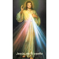 50pk Spanish Divine Mercy Chaplet Bulk Prayer-Cards - (50 Pack)