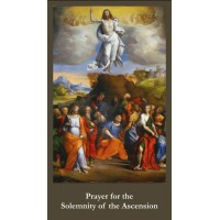 50pk Ascension Bulk Prayer-Cards - (50 Pack) 50pk Ascension Bulk Prayer-Cards - (50 Pack)