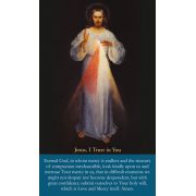 NEW Large Print Divine Mercy Prayer Card - (50 Pack)