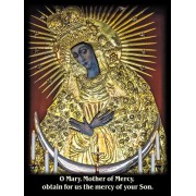 50pk Mother of Mercy Chaplet Bulk Prayer-Cards - (50 Pack) 50pk Mother of Mercy Chaplet Bulk Prayer-Cards - (50 Pack)
