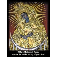 50pk Mother of Mercy Chaplet Bulk Prayer-Cards - (50 Pack)