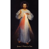 50pk Divine Mercy Chaplet Bulk Prayer-Cards - (50 Pack) 50pk Divine Mercy Chaplet Bulk Prayer-Cards - (50 Pack)