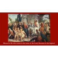 50pk Palm Sunday Bulk Prayer-Cards - (50 Pack)