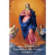 Religious Liberty Prayer Card - Immaculate Conception - English - (50 Pack)