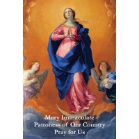 50pk Religious Liberty Bulk Prayer-Cards - Immaculate Conception - English - (50 Pack) 50pk Religious Liberty Bulk Prayer-Cards - Immaculate Conception - English - (50 Pack)