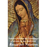 50pk Religious Liberty Bulk Prayer-Cards - Our Lady of Guadalupe - Spanish - (50 Pack)