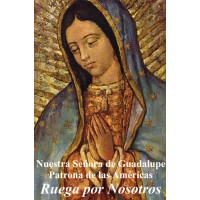 50pk Religious Liberty Bulk Prayer-Cards - Our Lady of Guadalupe - Spanish - (50 Pack)