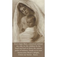 50pk Ever-Virgin Mary Bulk Prayer-Cards - (50 Pack)