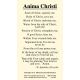 Anima Christi Prayer Card (50 pack) -  - PC23