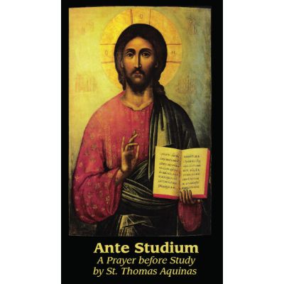 Ante Studium (Prayer Before Study) Prayer Card (50 pack) -  - PC-394