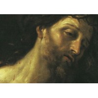 50pk Crown of Thorns Bulk Prayer-Cards (50 pack) 50pk Crown of Thorns Bulk Prayer-Cards (50 pack)