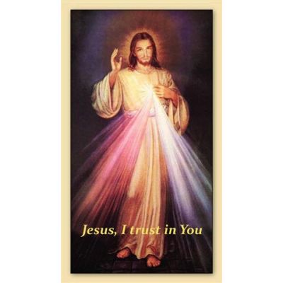 Divine Mercy Chaplet Prayer Card (50 pack) -  - PC-78
