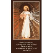 Divine Mercy Prayer Card (50 pack)