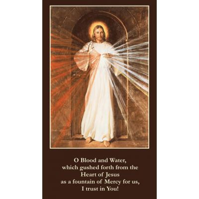 Divine Mercy Prayer Card (50 pack) -  - PC-212