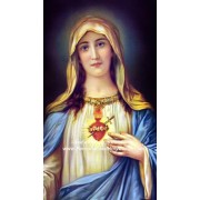 50pk Hail Mary Bulk Prayer-Cards (50 pack) 50pk Hail Mary Bulk Prayer-Cards (50 pack)