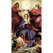 50pk Mediatrix - Marian Dogma Bulk Prayer-Cards (50 pack) 50pk Mediatrix - Marian Dogma Bulk Prayer-Cards (50 pack)