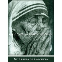 Mother Teresa Commemorative Series Canonization Bulk Holy Prayer-Card 50pk