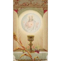 50pk Oh Jesus, Blessed Sacrament Bulk Prayer-Cards (50 pack) 50pk Oh Jesus, Blessed Sacrament Bulk Prayer-Cards (50 pack)