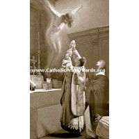 50pk Priestly Vocations Bulk Prayer-Cards (50 pack) 50pk Priestly Vocations Bulk Prayer-Cards (50 pack)