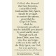 Saint Barnabas Prayer Card (50 pack) -  - PC-488