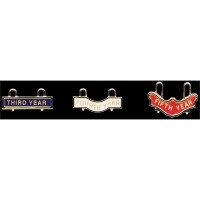 22 Year Bar Cross and Crown Recognition System