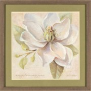 Framed Wall Art Simple Magnolia 1pet 1:6 14x14