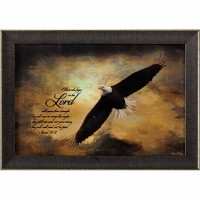 Framed Wall Art Is40:31 Wd/gls 21x15