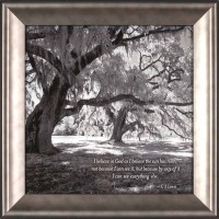 Framed Wall Art Under Canopy Believe 14x14