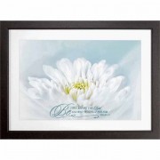 Framed Wall Art Diving Floral Be Still Before