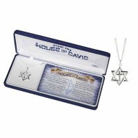 Necklace house Of David/Cross Silver Plated-lbox 24 Inches