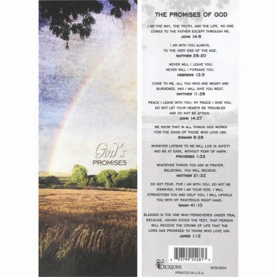 Bookmark Paper/Laminated Gods Promises Pack of 100 - 603799552820 - BKM-8004R