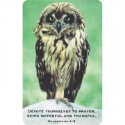 12pk -Bookmark Pocket Card Pray/Colossians 4:2 Pack of 12