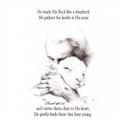 12pk -Bookmark Pocket Card Jesus And The Lamb (Pack of 12)