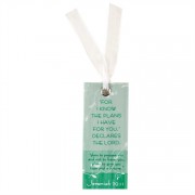 12pk -Bookmark Vellum For I Know The Plan Pack of 12