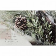 Christmas Pine Cone-today In - Home Wall Art