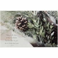 Christmas Pine Cone-today In - Home Wall Art