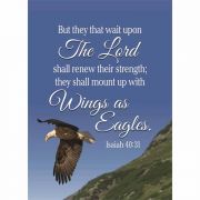 Flag Eagle Isaiah 40:31 Poly 13x18