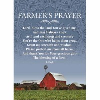Flag Print Farmer's Prayer Poly 13x18