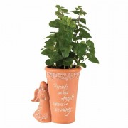3pk -Flowerpot Angel Friends Resin 4.25x5 - (Pack of 3)