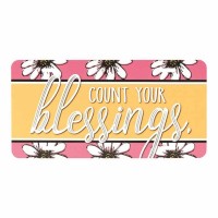 License Plate Count Your Blessings Metal 12x6