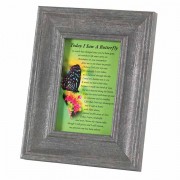 2pk -Pho Frm Tabletop Today I..butterfly 4x6 Dkgr - (Pack of 2)