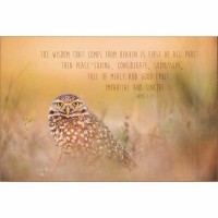 2pk -Plaque Wall Wisdom Comes Jam 3:17 Mdf 12x8 - (Pack of 2) 2pk -Plaque Wall Wisdom Comes Jam 3:17 Mdf 12x8 - (Pack of 2)