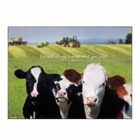 Plaque Wall Making Hay Gal6:7 Mdf 18x12