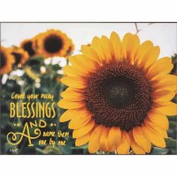 Plaque Wall Midwest Livin Mdf 16x12