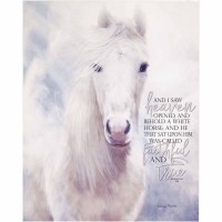 Plaque Wall White Horse Rev.19:11 Mdf 16x20