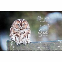 Plaque Wall Owl-be Still Ps.46:10 Mdf 17x11
