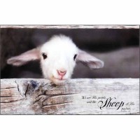 Plaque Wll Lamb We Are His People Mdf 17x11
