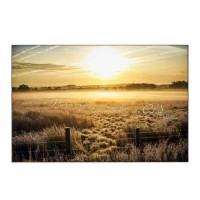 Plaque Wall Winter Dawn Ps90:14 Mdf 21x14