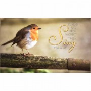 Plaque Wall Birds Do Not Worry Mdf 23x15
